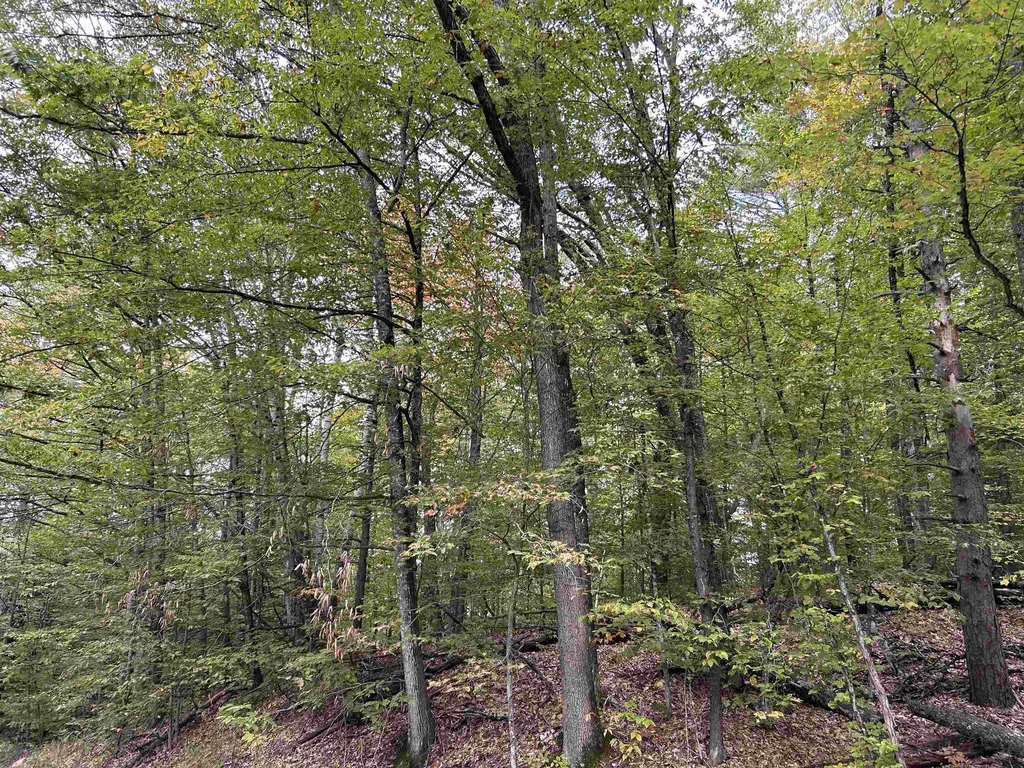 Nh Route 175 Campton NH 03223