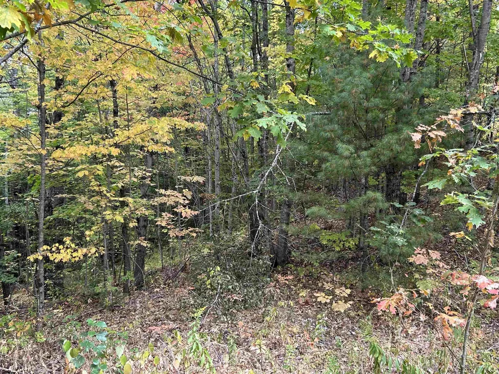 Nh Route 175 Campton NH 03223