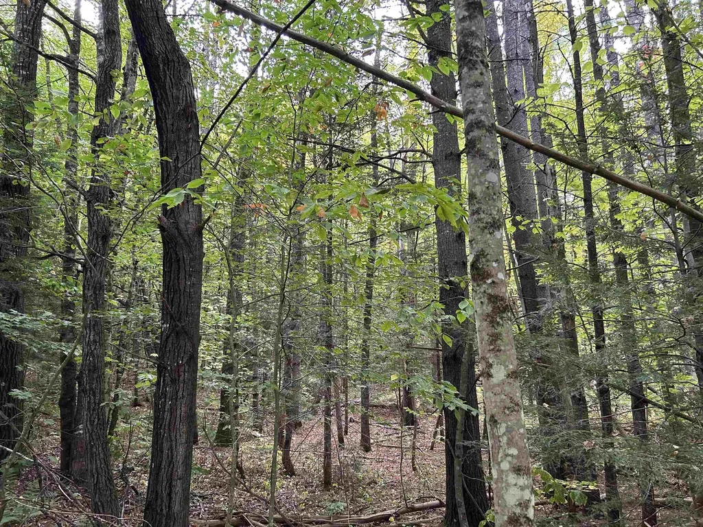 Nh Route 175 Campton NH 03223