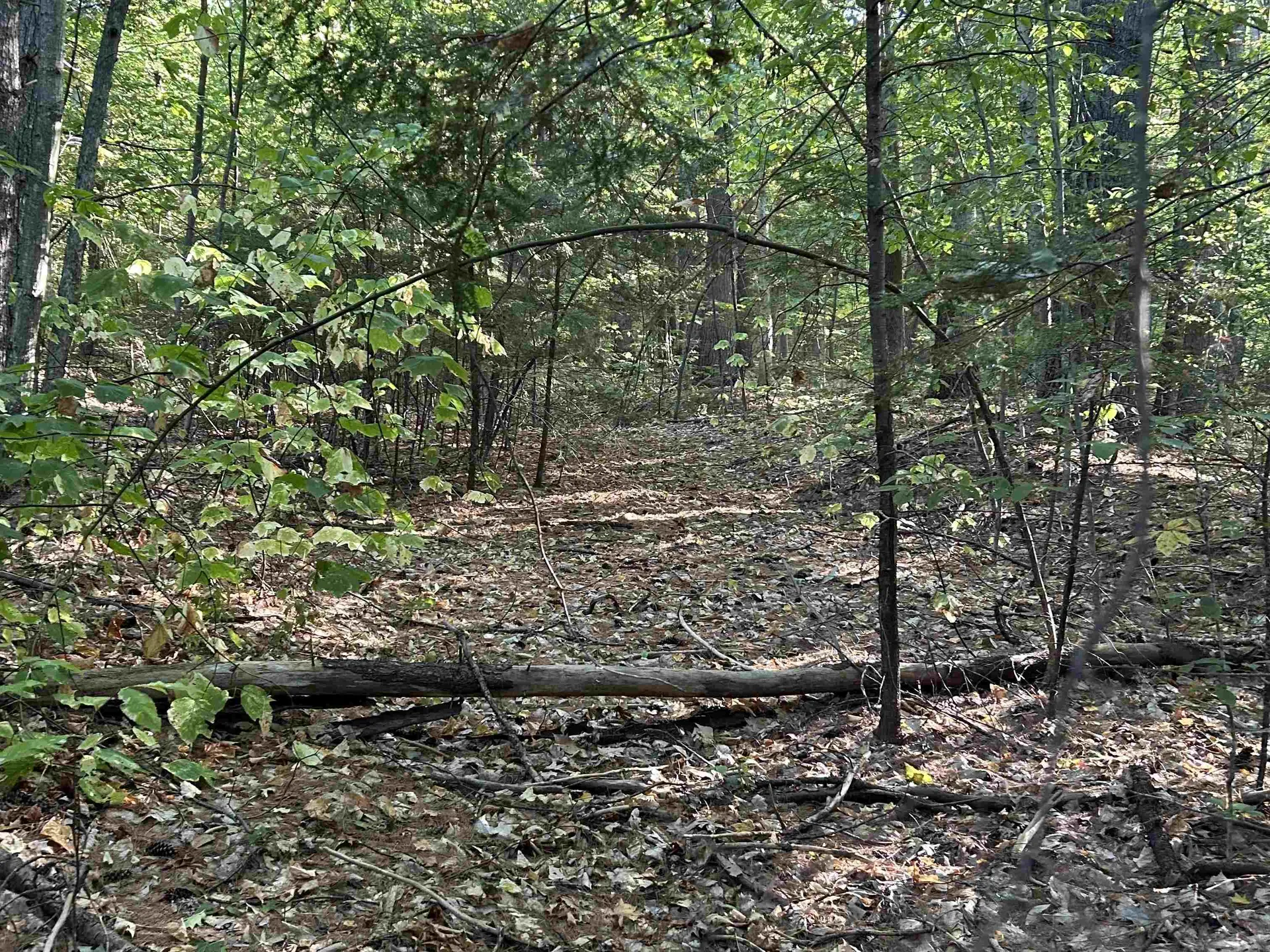 Nh Route 175 Campton NH 03223