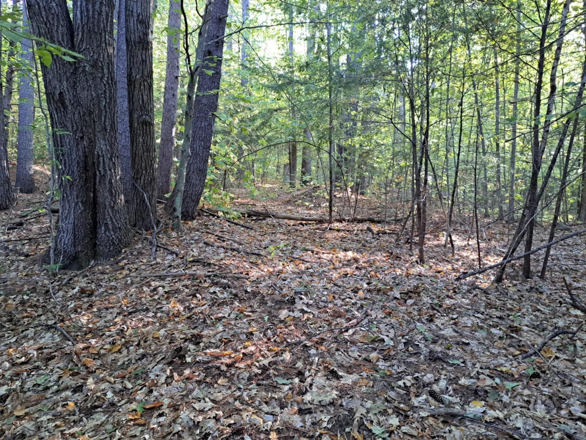 Nh Route 175 Campton NH 03223