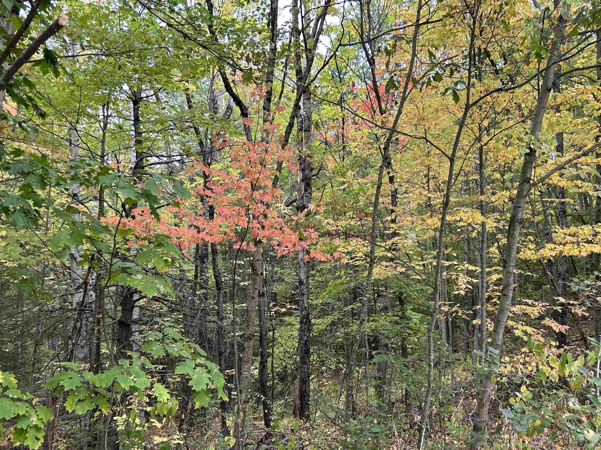 Nh Route 175 Campton NH 03223