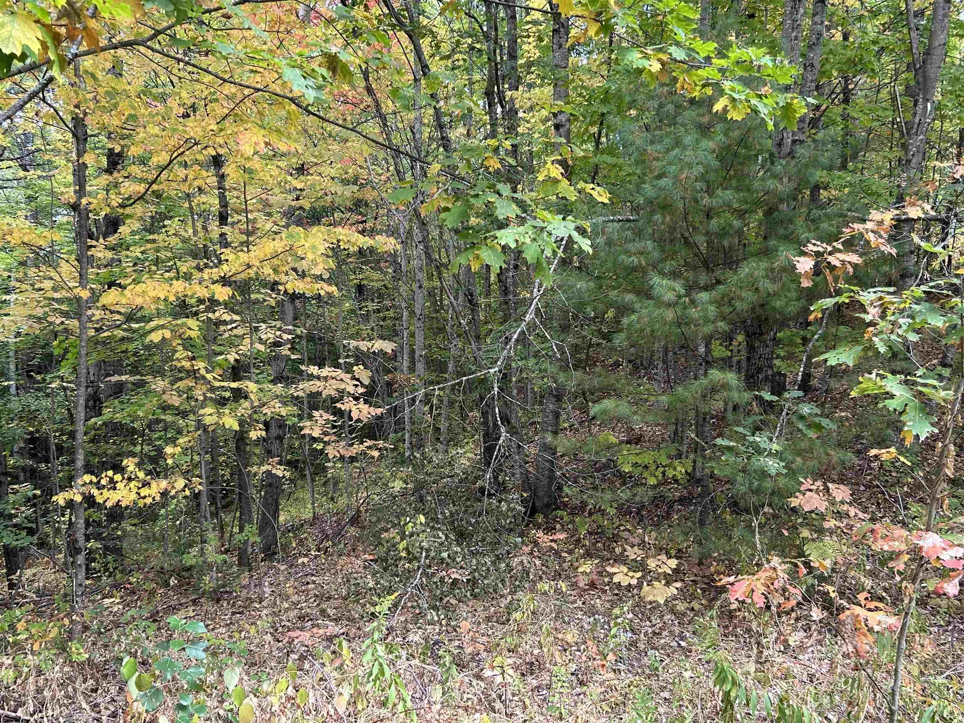 Nh Route 175 Campton NH 03223