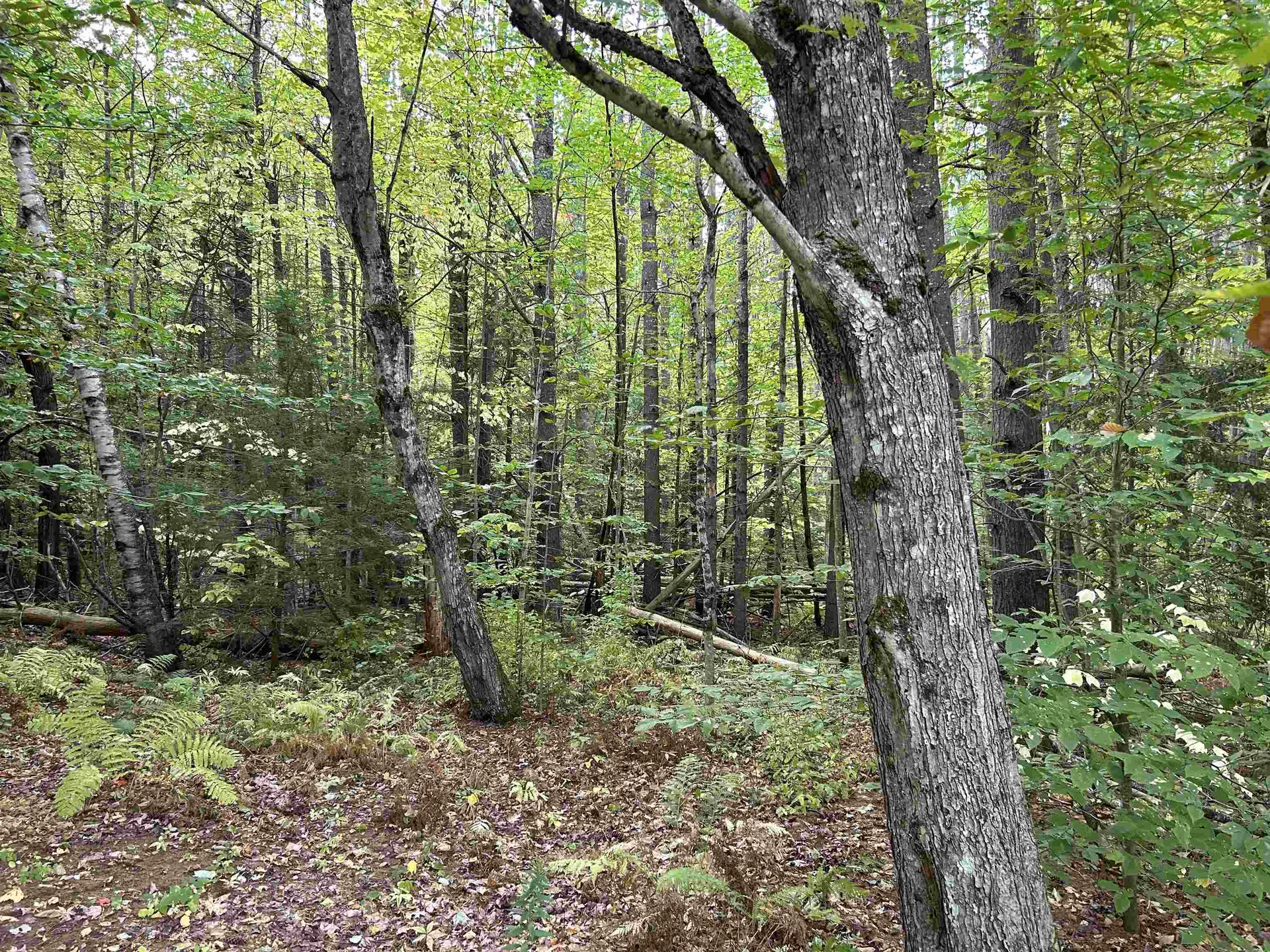 Nh Route 175 Campton NH 03223