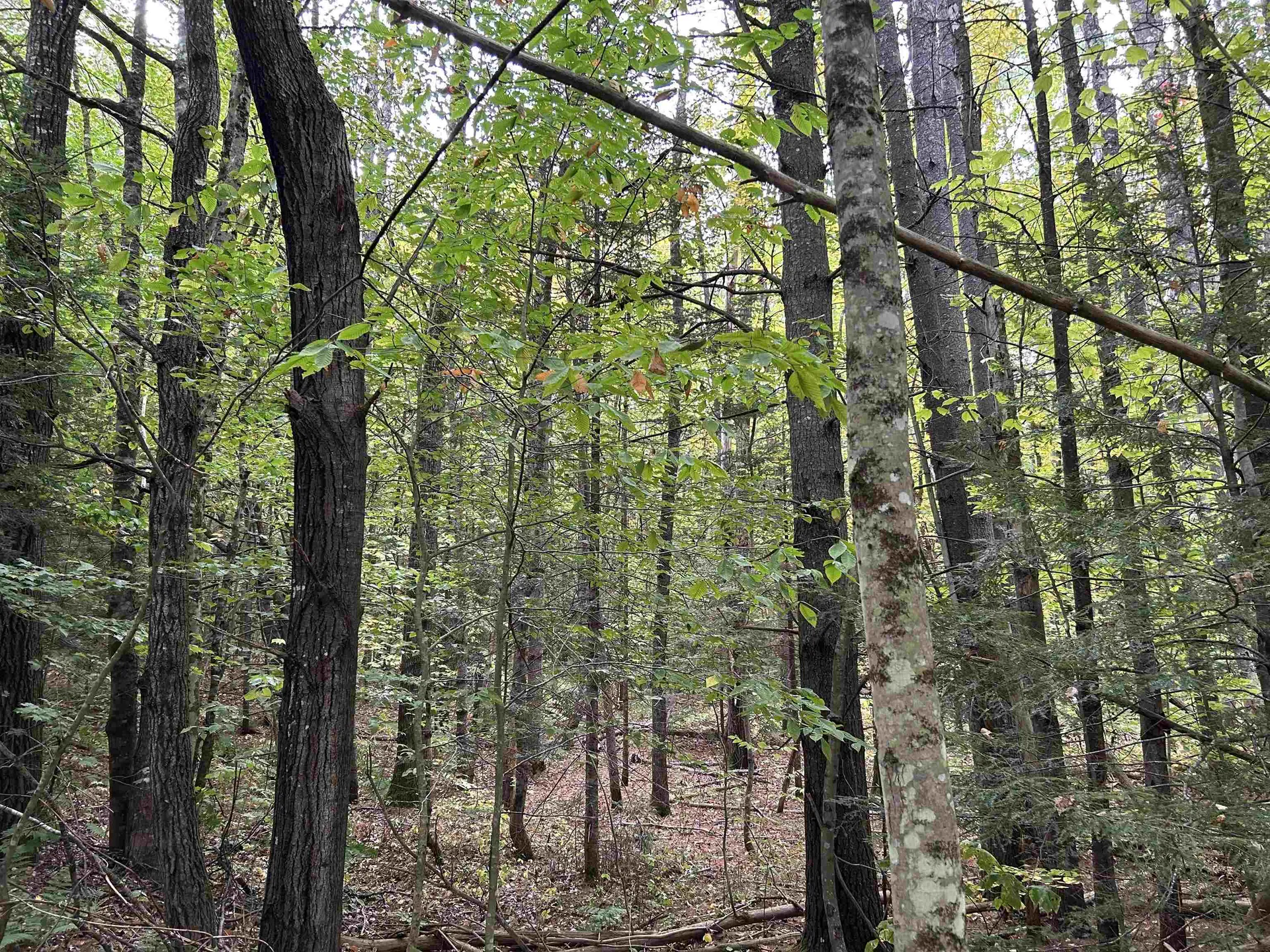 Nh Route 175 Campton NH 03223