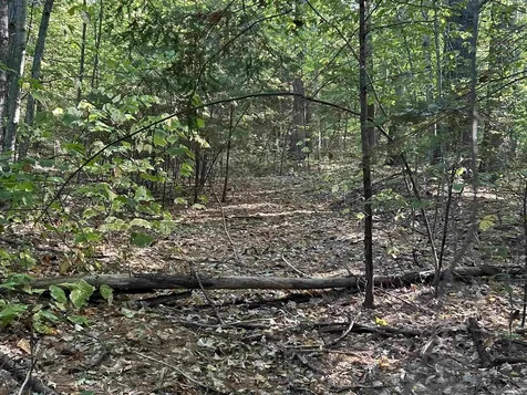 Nh Route 175 Campton NH 03223