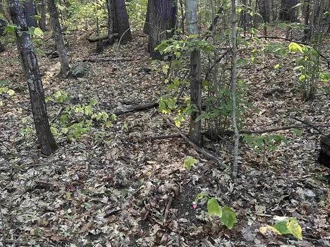 Nh Route 175 Campton NH 03223