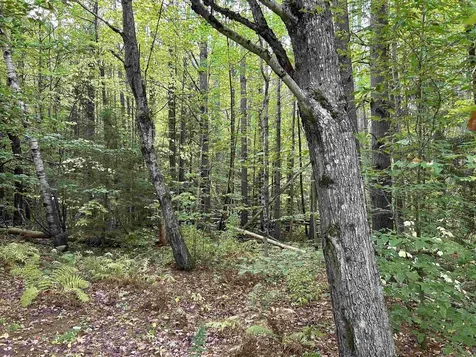 Nh Route 175 Campton NH 03223