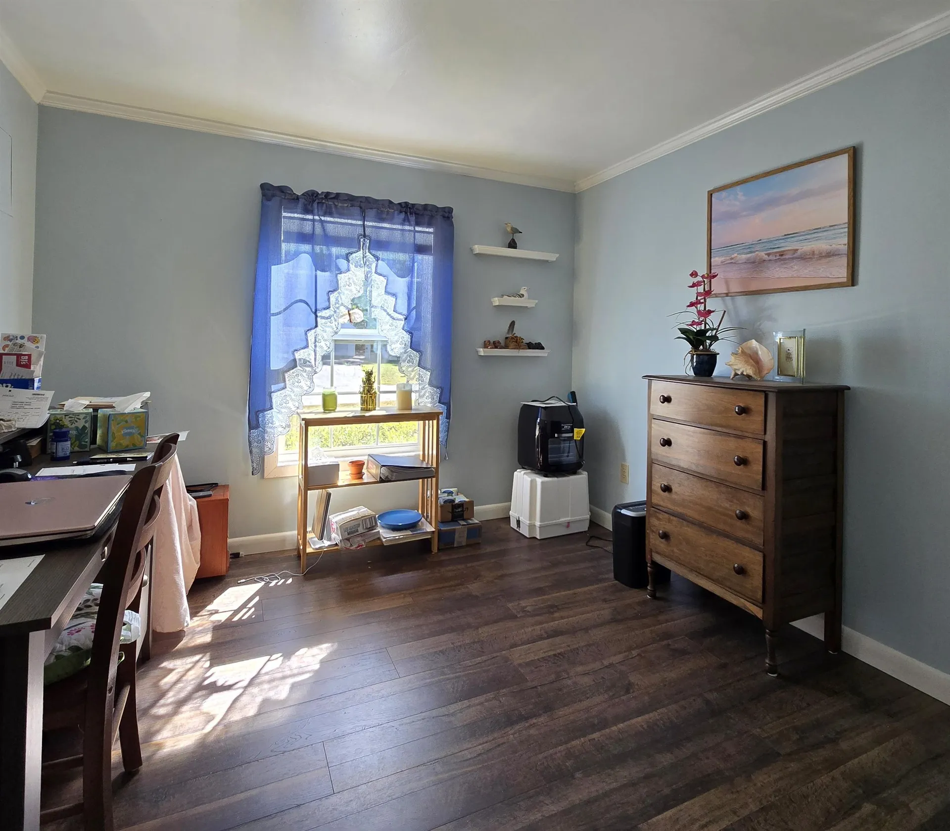 102 Osprey Road Alton NH 03809