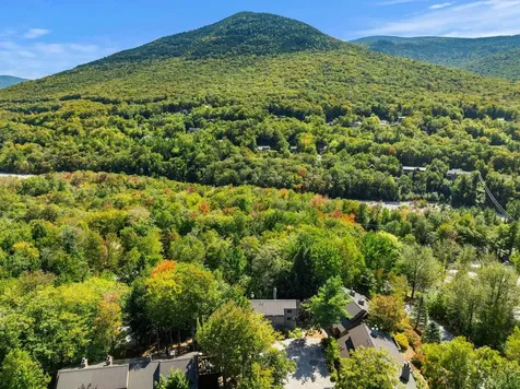 7 Overbrook Hamlet Way Lincoln NH 03251