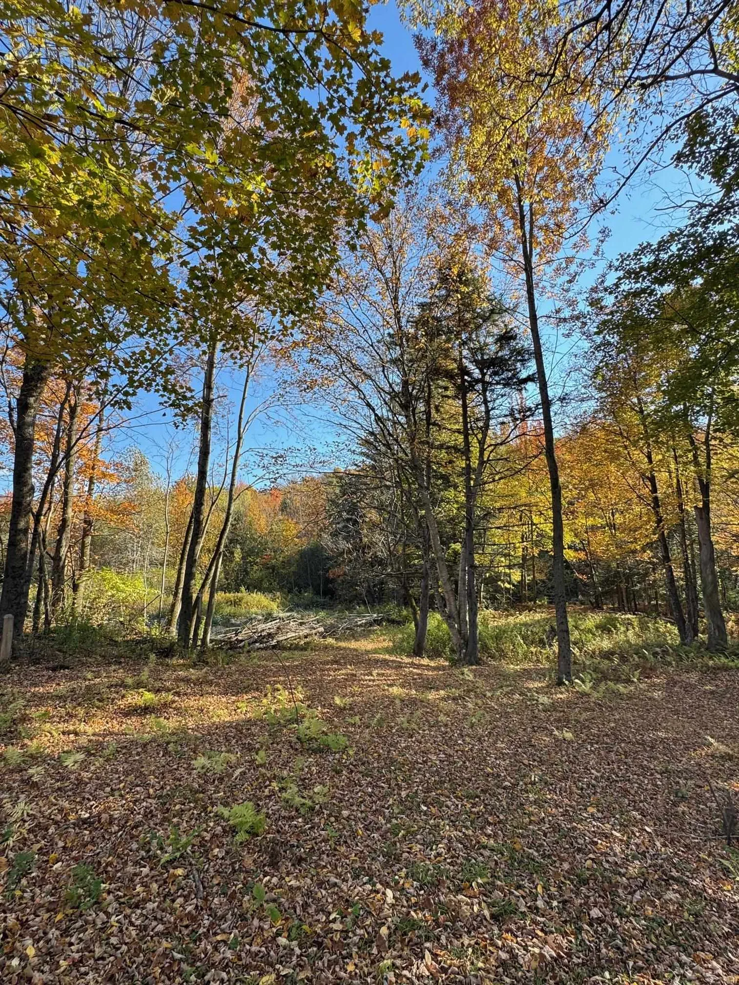 435 West Jay Road Jay VT 05859