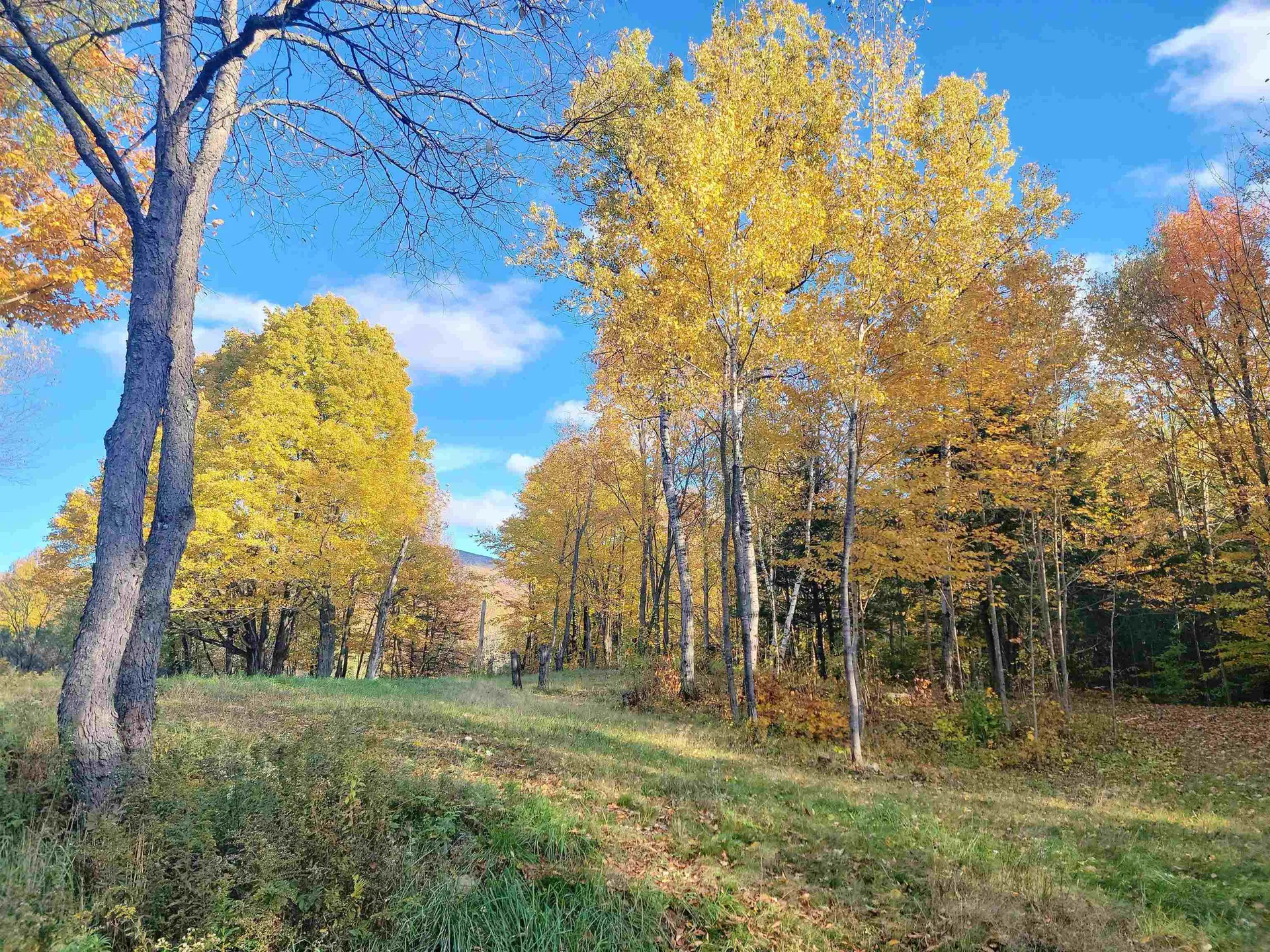 435 West Jay Road Jay VT 05859