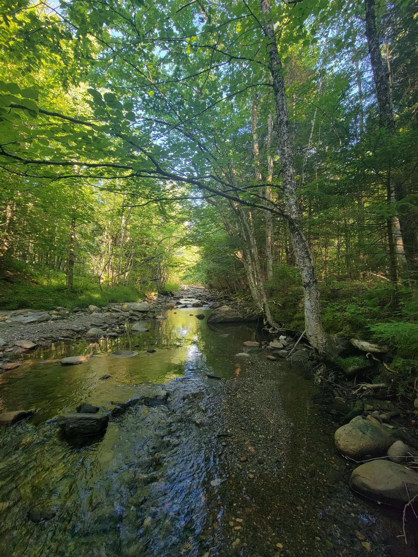 435 West Jay Road Jay VT 05859