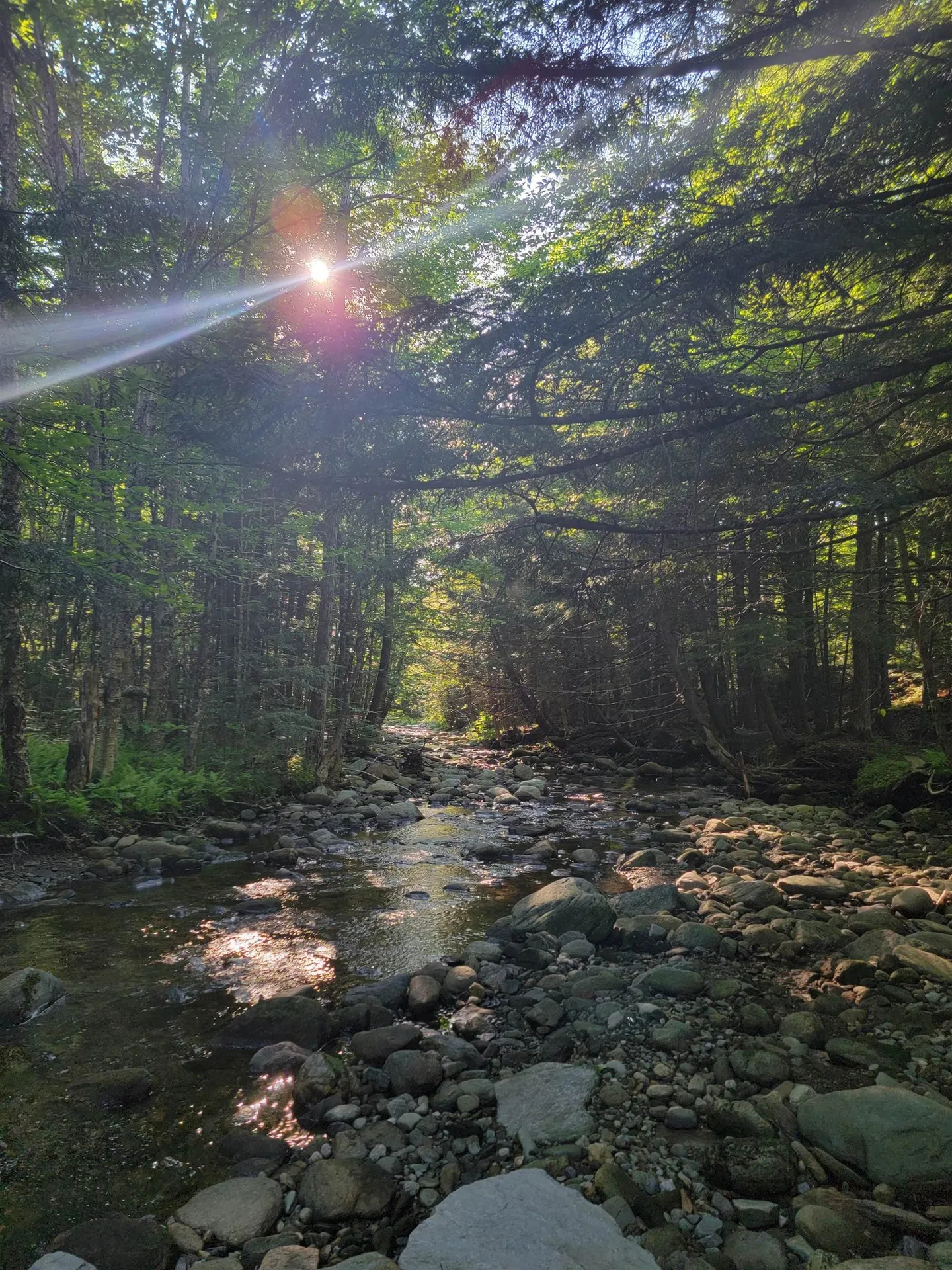 435 West Jay Road Jay VT 05859