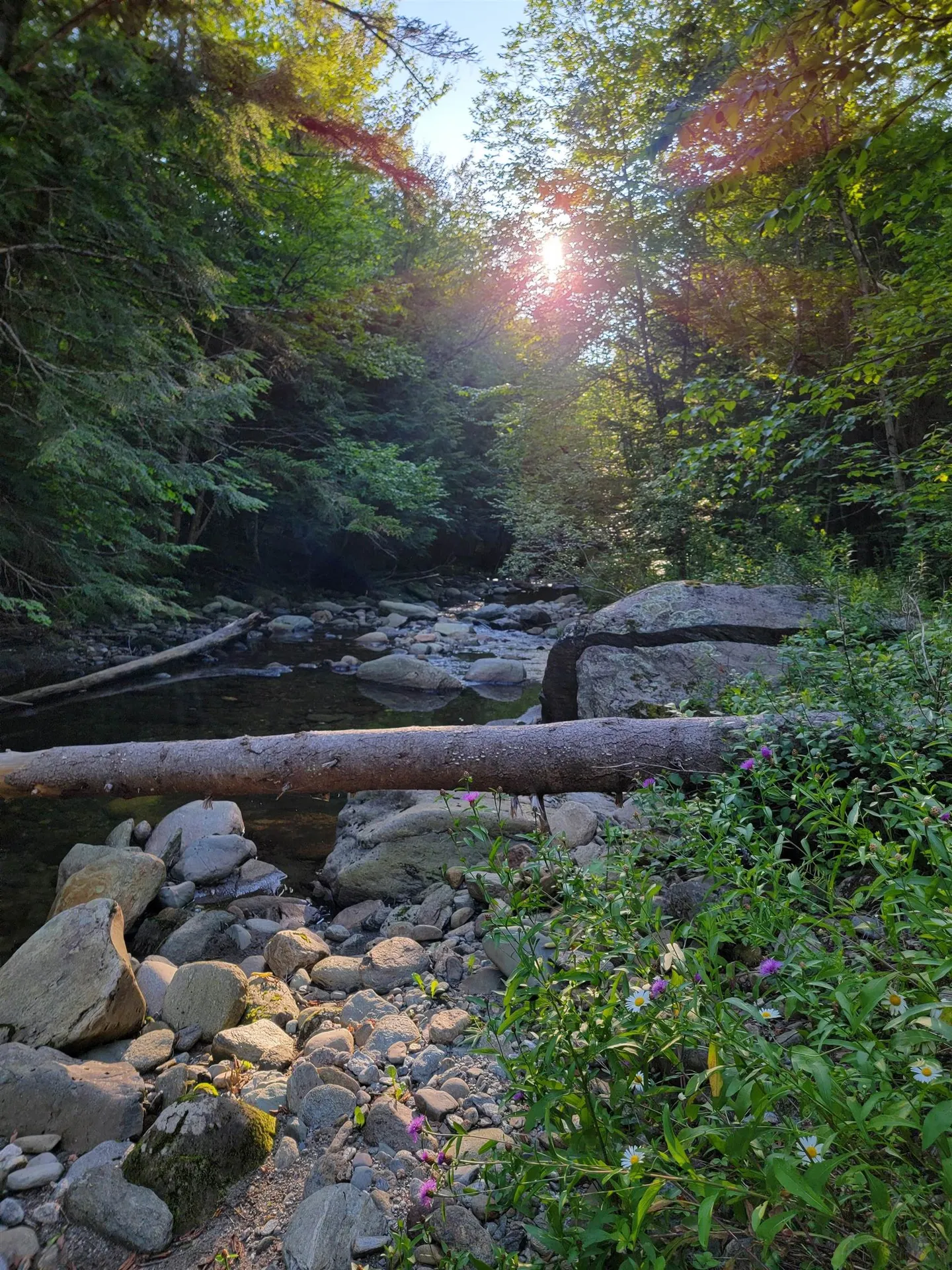 435 West Jay Road Jay VT 05859