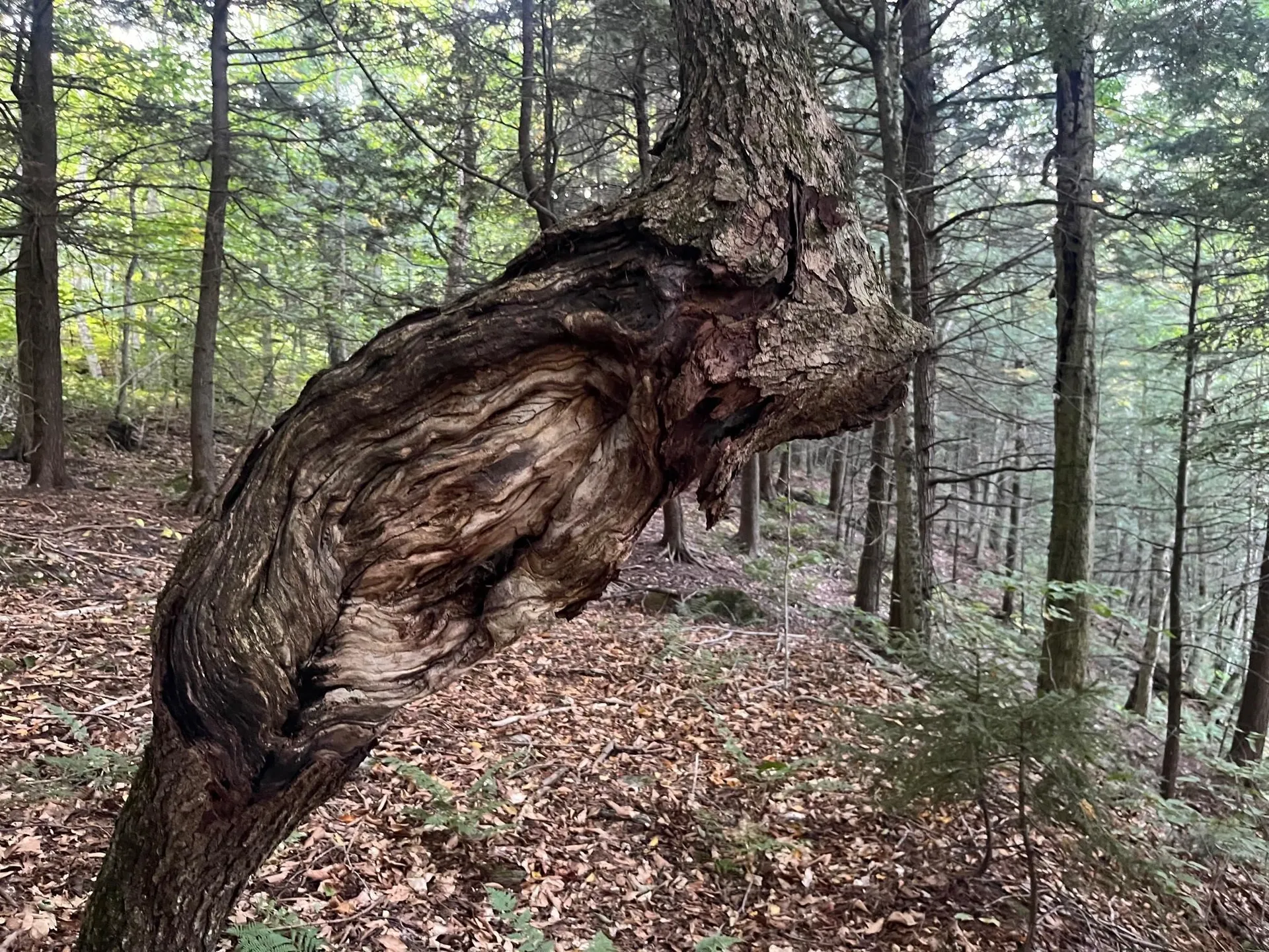 435 West Jay Road Jay VT 05859