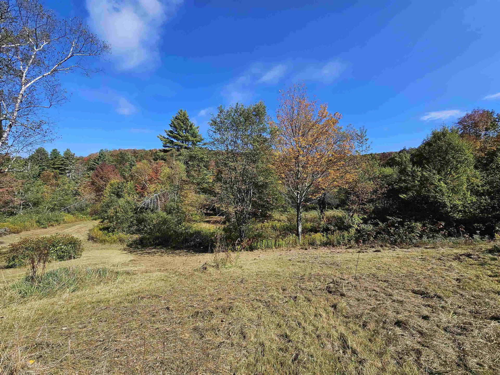 977 Route 121 Windham VT 05359