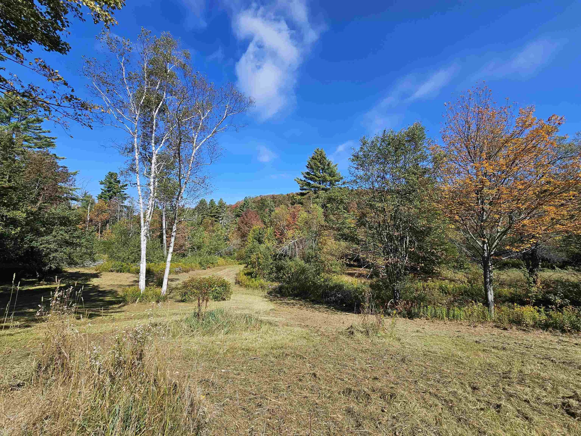 977 Route 121 Windham VT 05359