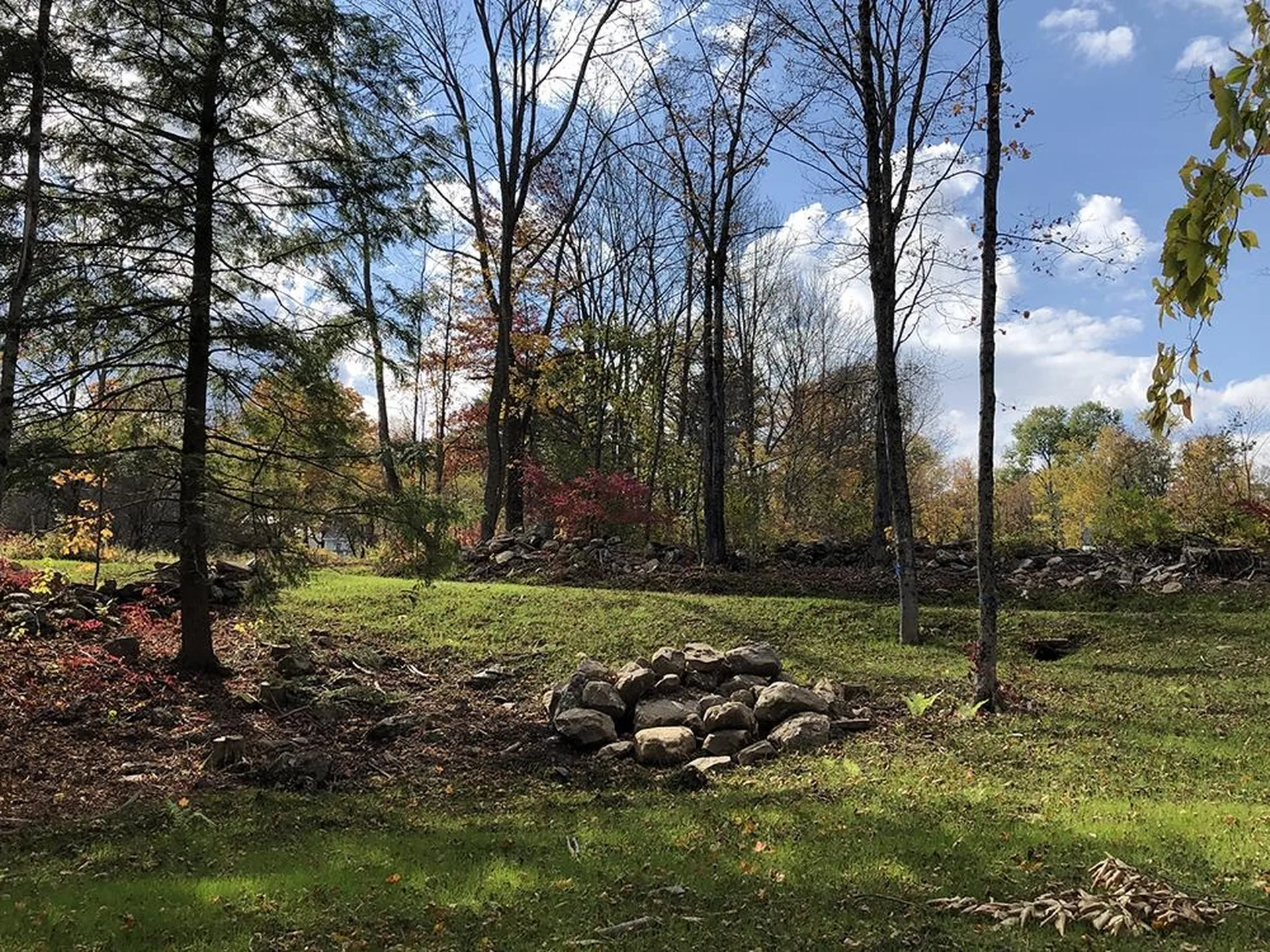 111 Gib Lockerby Road Grafton VT 05146