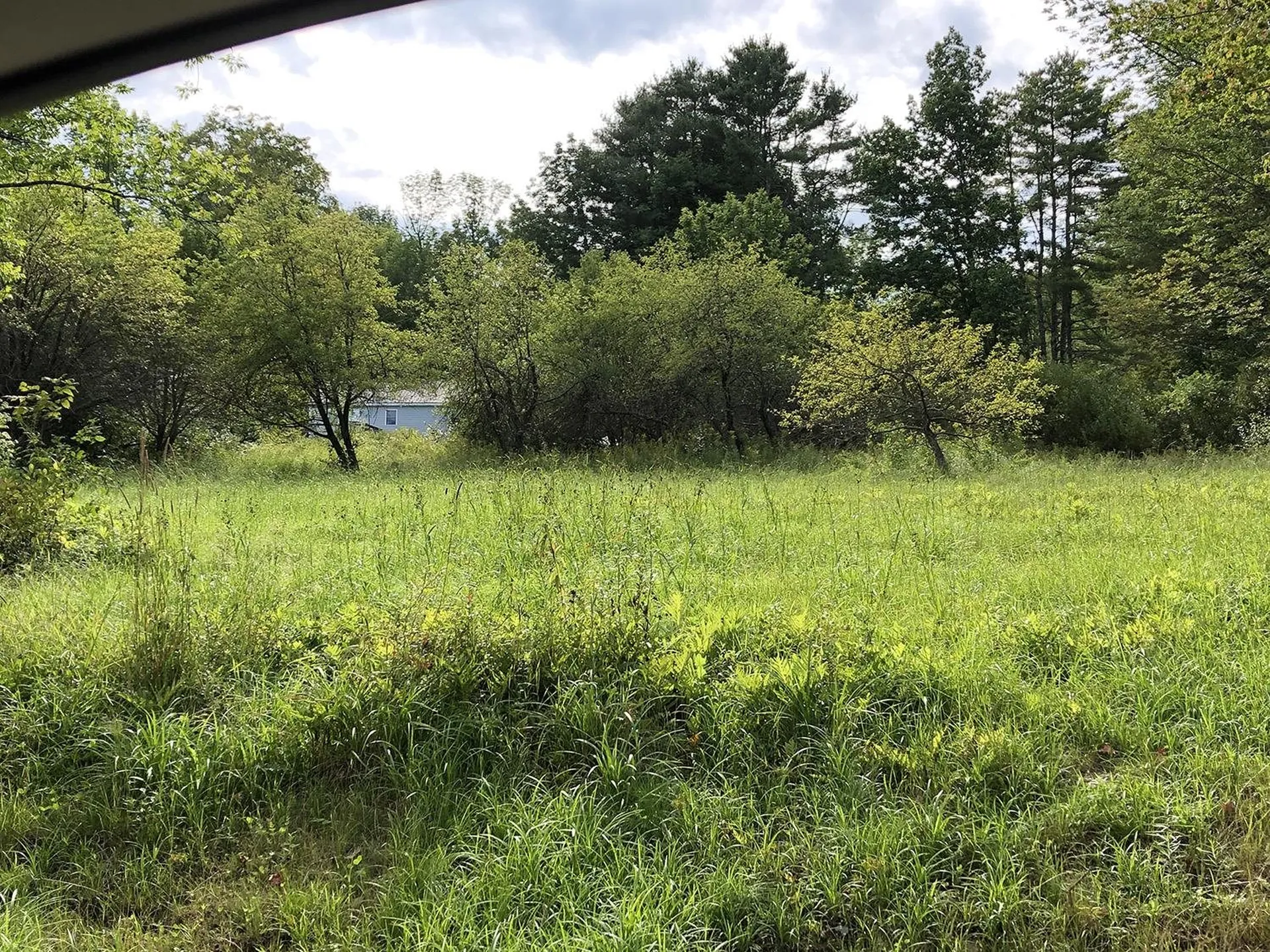 111 Gib Lockerby Road Grafton VT 05146