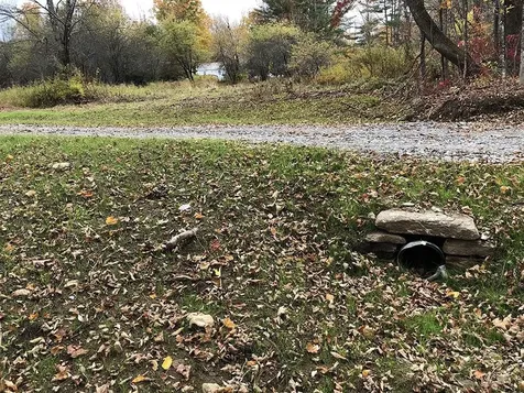 111 Gib Lockerby Road Grafton VT 05146