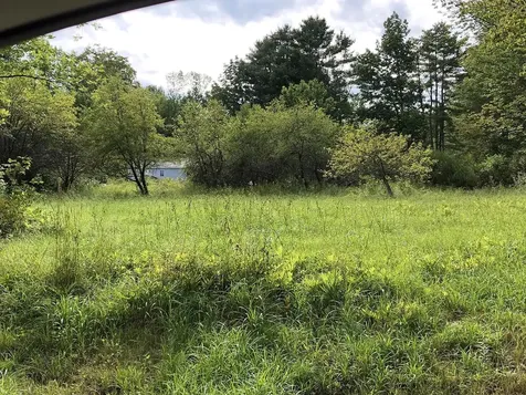 111 Gib Lockerby Road Grafton VT 05146