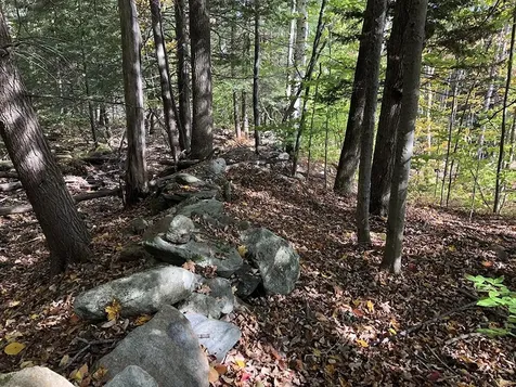 111 Gib Lockerby Road Grafton VT 05146