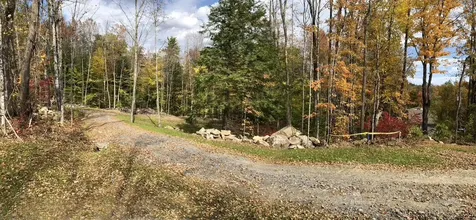 111 Gib Lockerby Road Grafton VT 05146