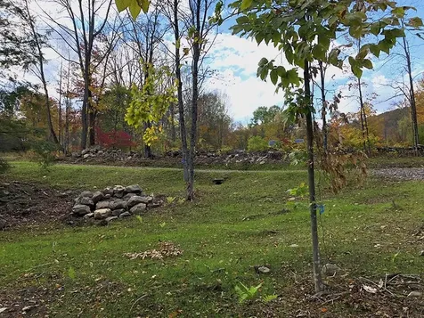 111 Gib Lockerby Road Grafton VT 05146