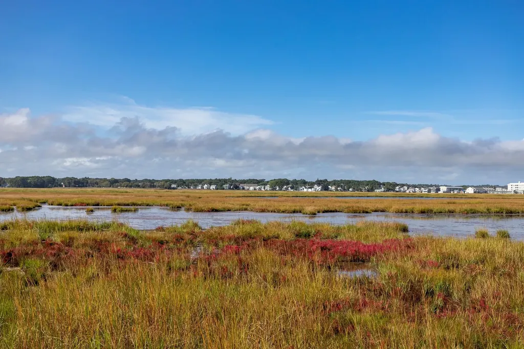 493 Ocean Boulevard Hampton NH 03842