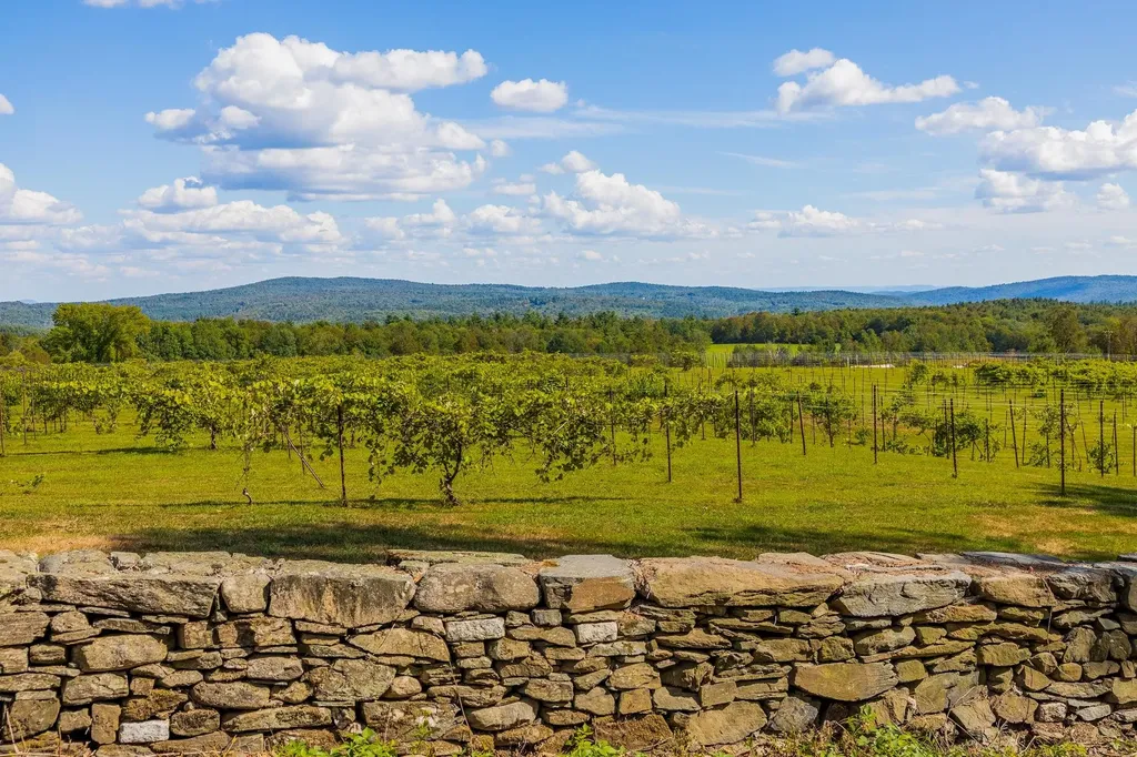 1950 Collins Road Halifax VT 05358