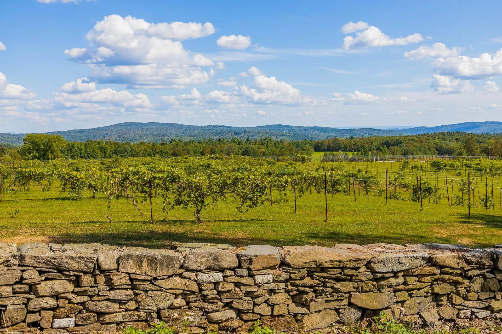 1950 Collins Road Halifax VT 05358