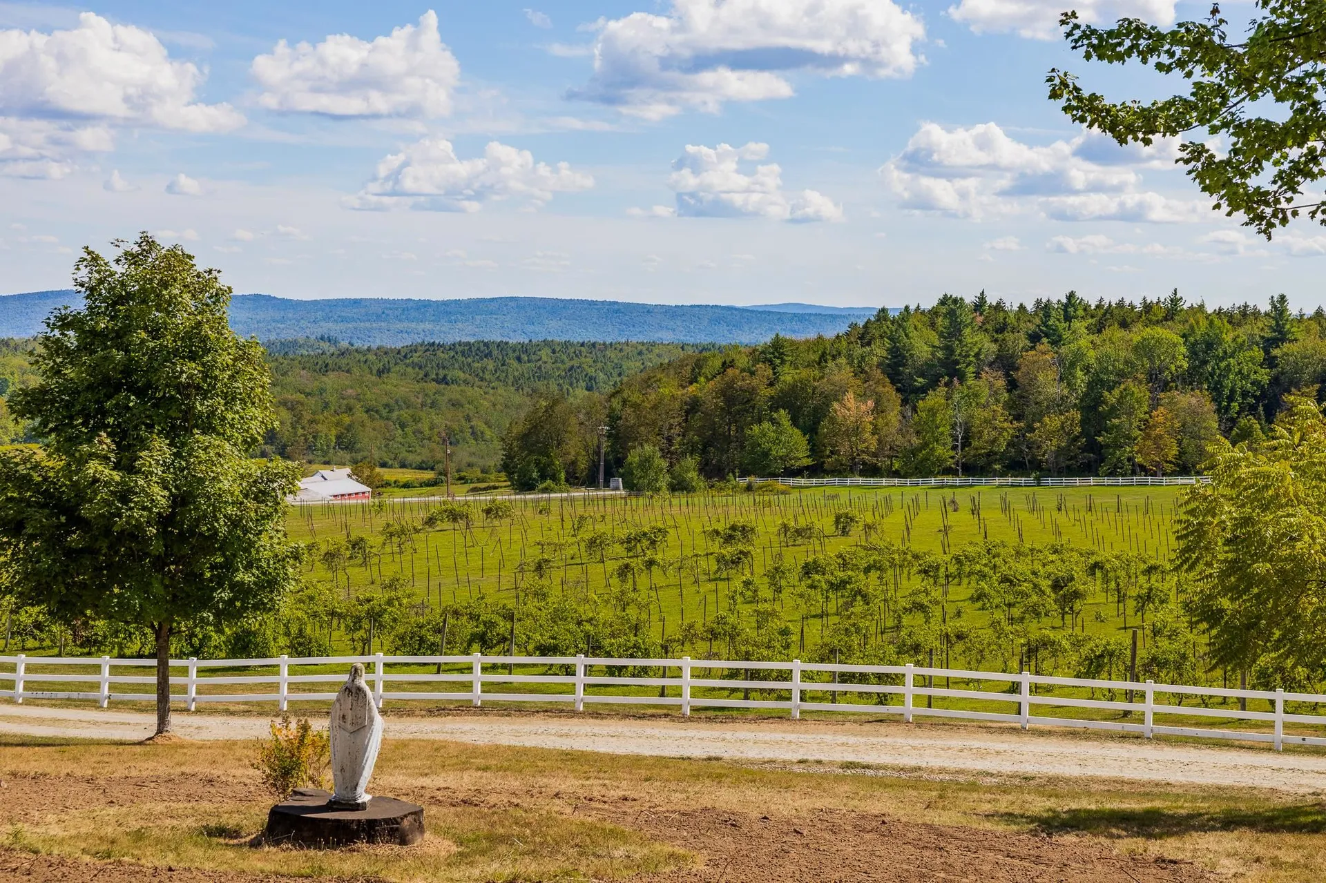 1950 Collins Road Halifax VT 05358