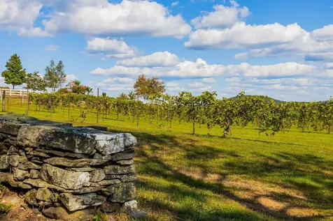 1950 Collins Road Halifax VT 05358