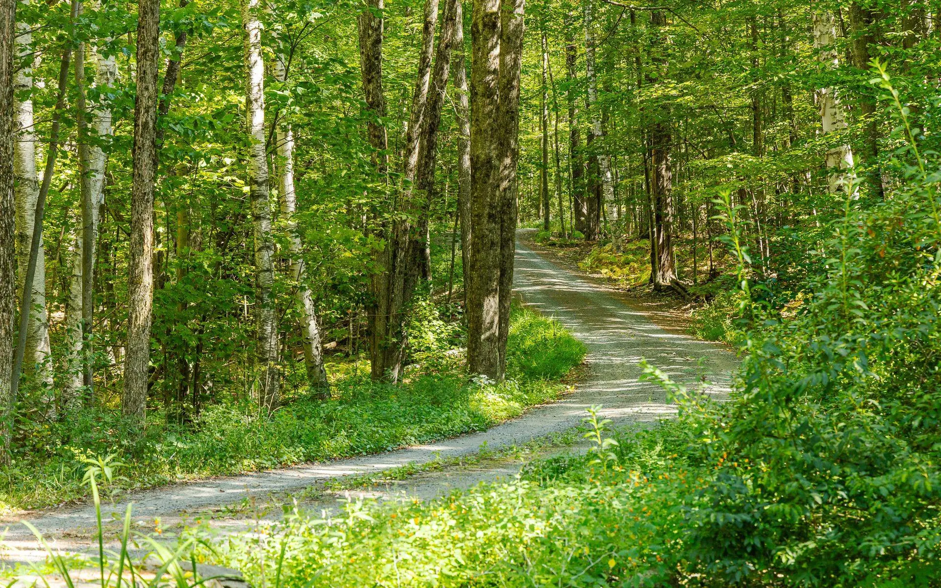 1144 County Road Walpole NH 03608