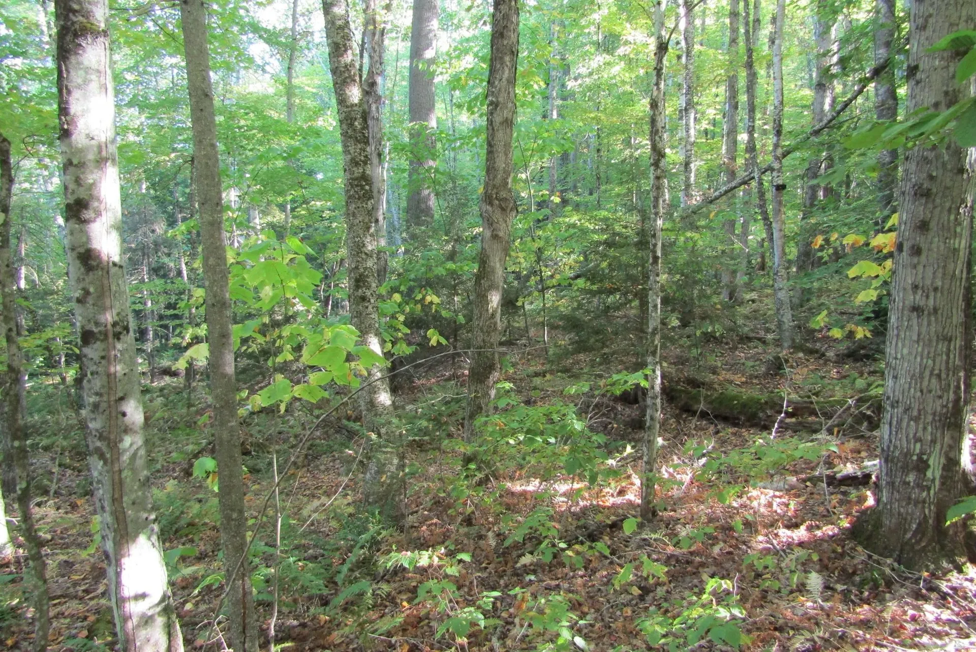 00 Vernon Avenue Haverhill NH 03785