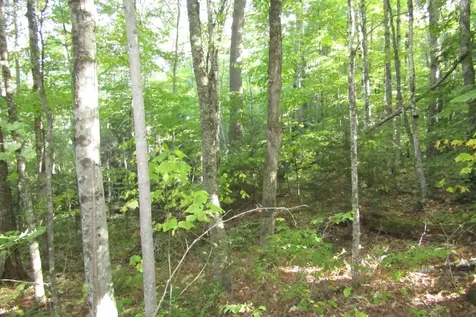 00 Vernon Avenue Haverhill NH 03785