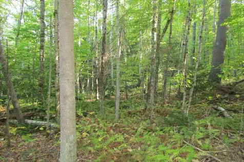 00 Vernon Avenue Haverhill NH 03785