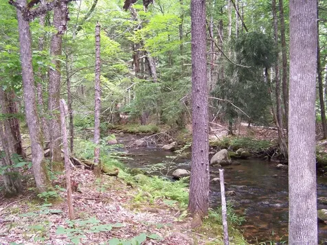 0 Brown Hill Road Tamworth NH 03886