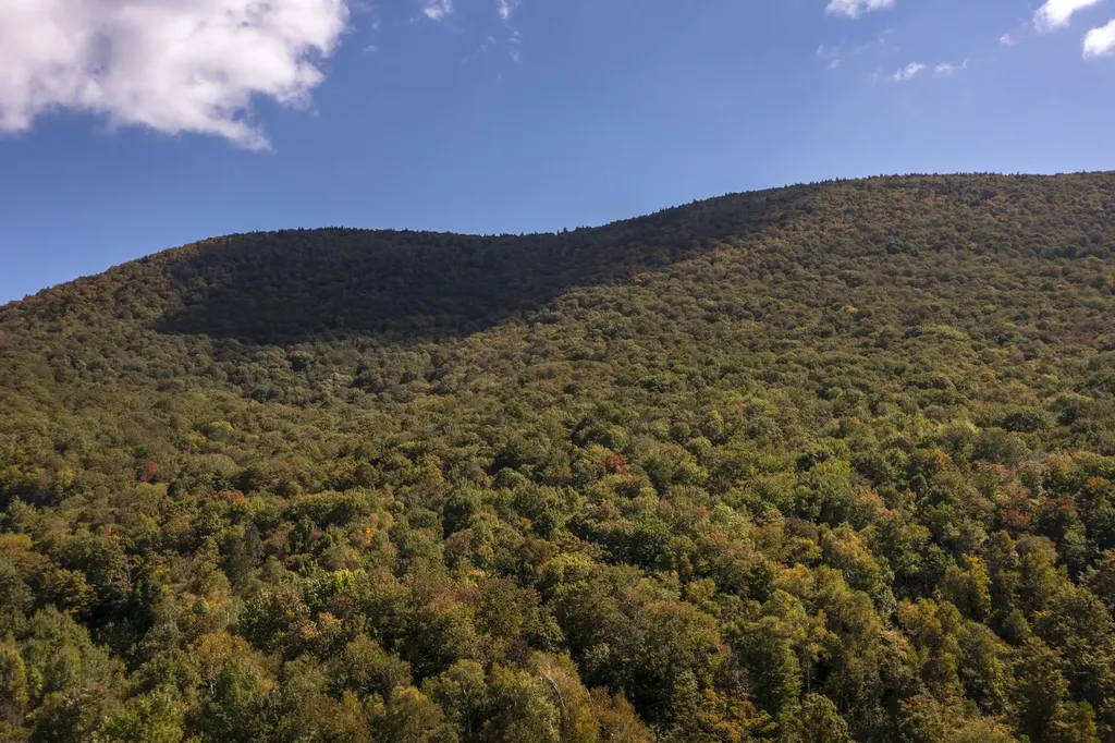 0 Tower Road Dorset VT 05251