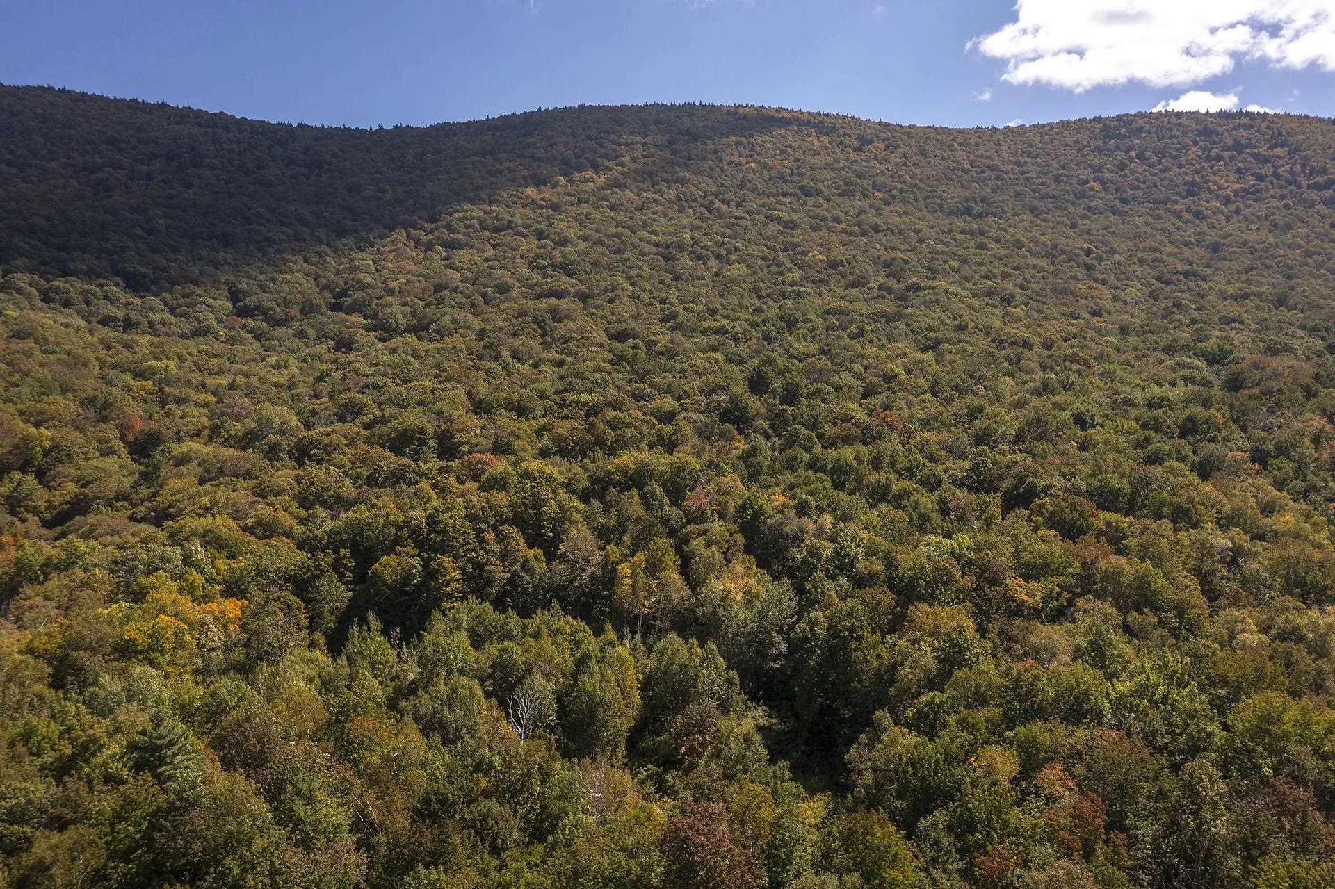 0 Tower Road Dorset VT 05251