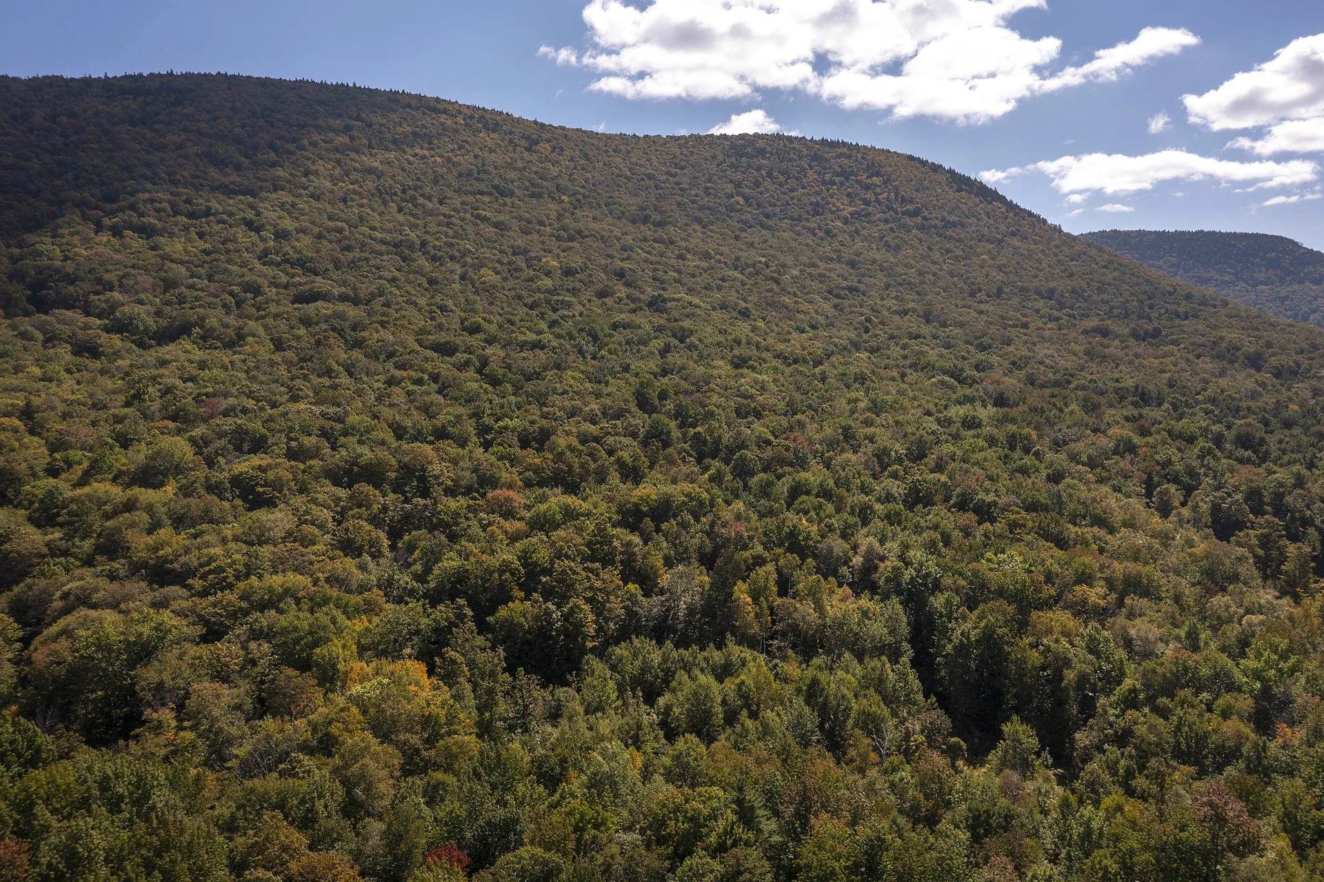 0 Tower Road Dorset VT 05251