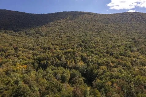 0 Tower Road Dorset VT 05251