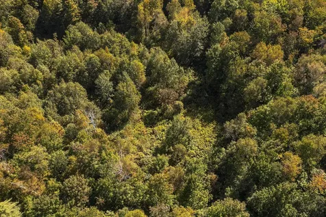 0 Tower Road Dorset VT 05251