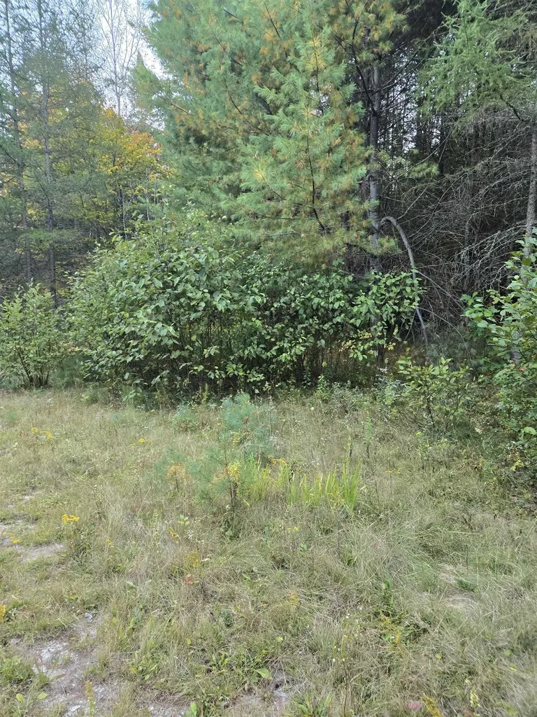 1058 Red Brook Road Groton VT 05046