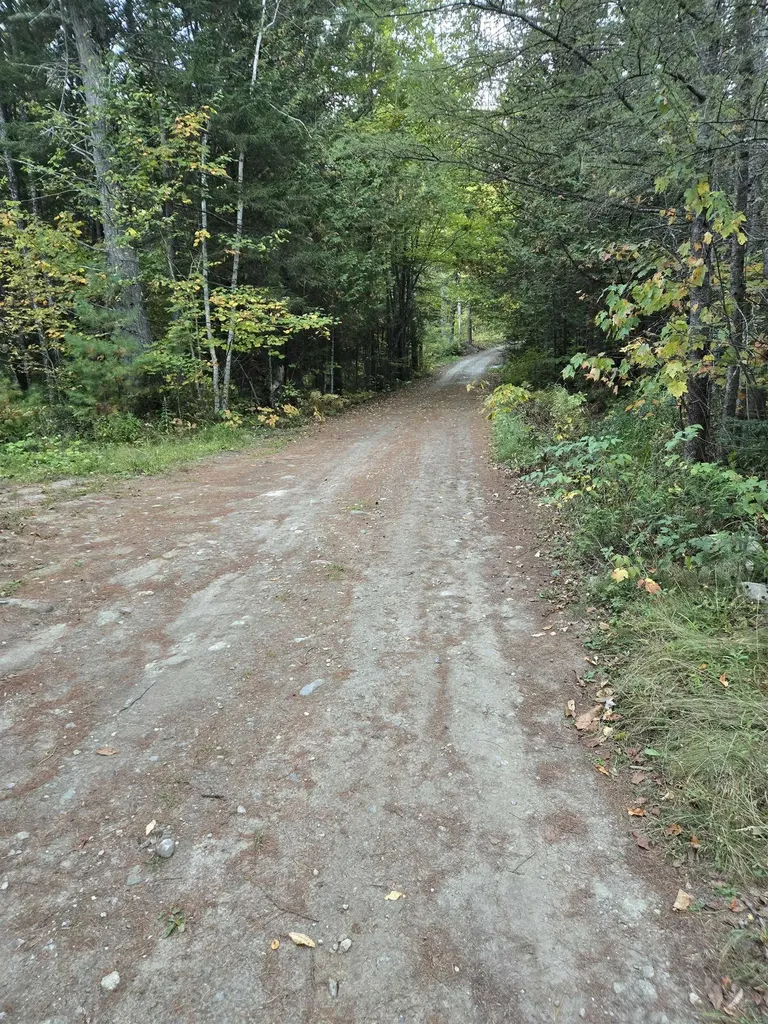 1058 Red Brook Road Groton VT 05046