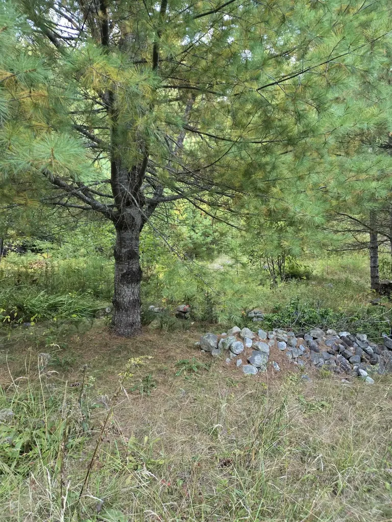 1058 Red Brook Road Groton VT 05046