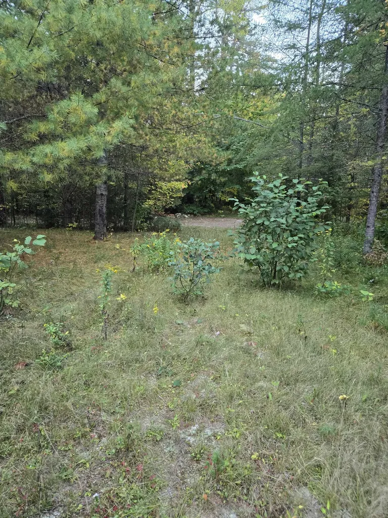 1058 Red Brook Road Groton VT 05046