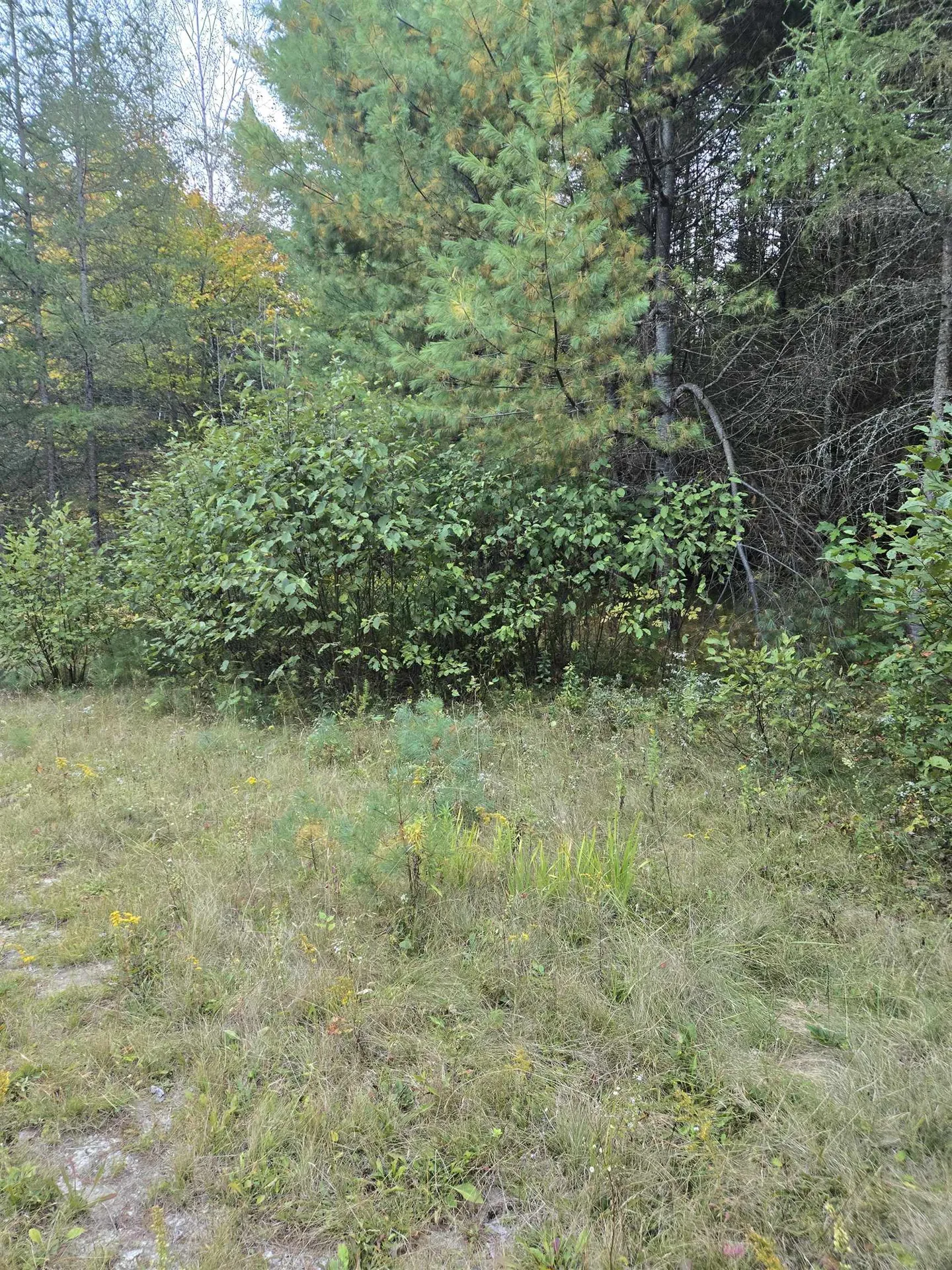 1058 Red Brook Road Groton VT 05046