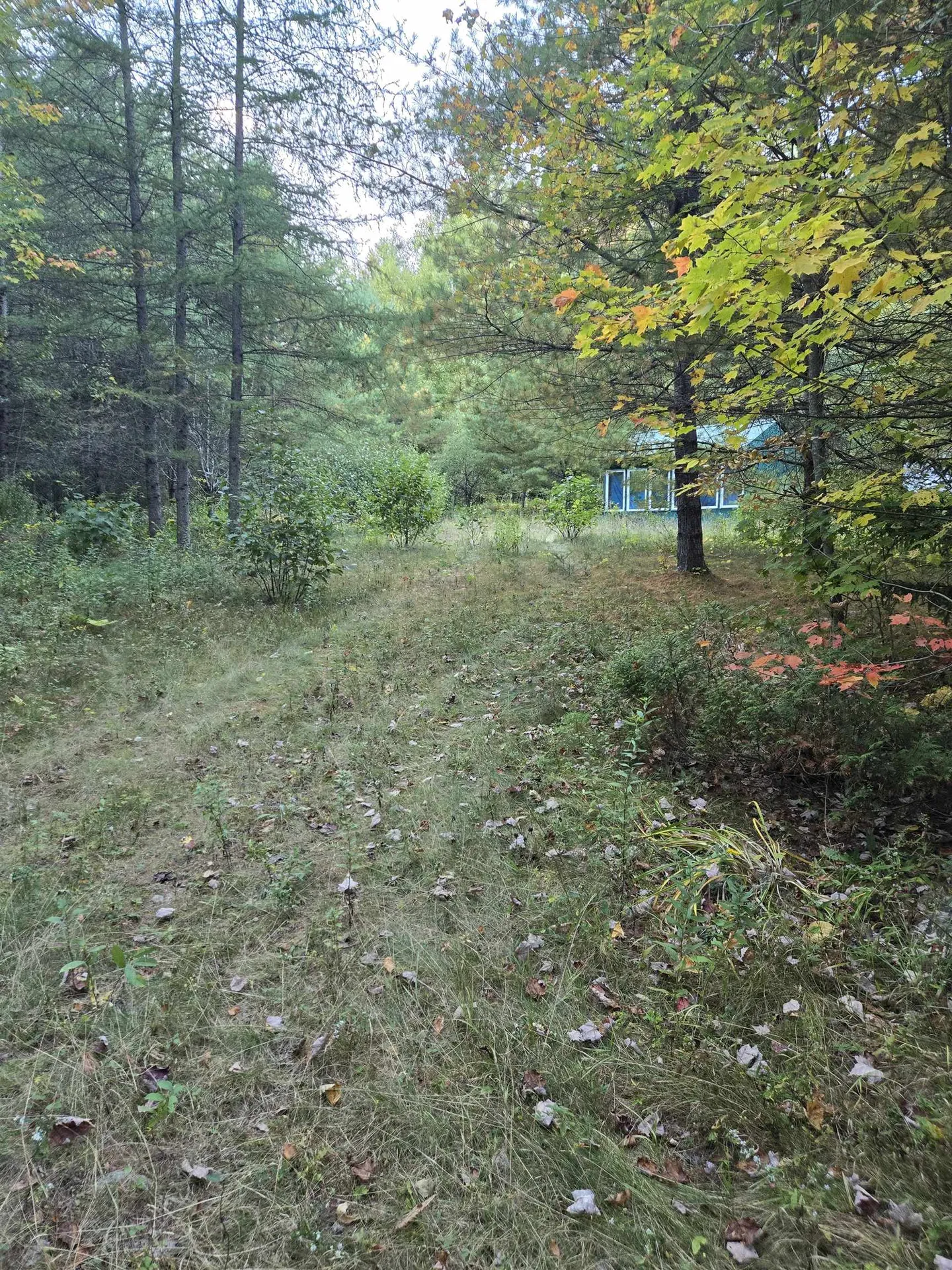 1058 Red Brook Road Groton VT 05046